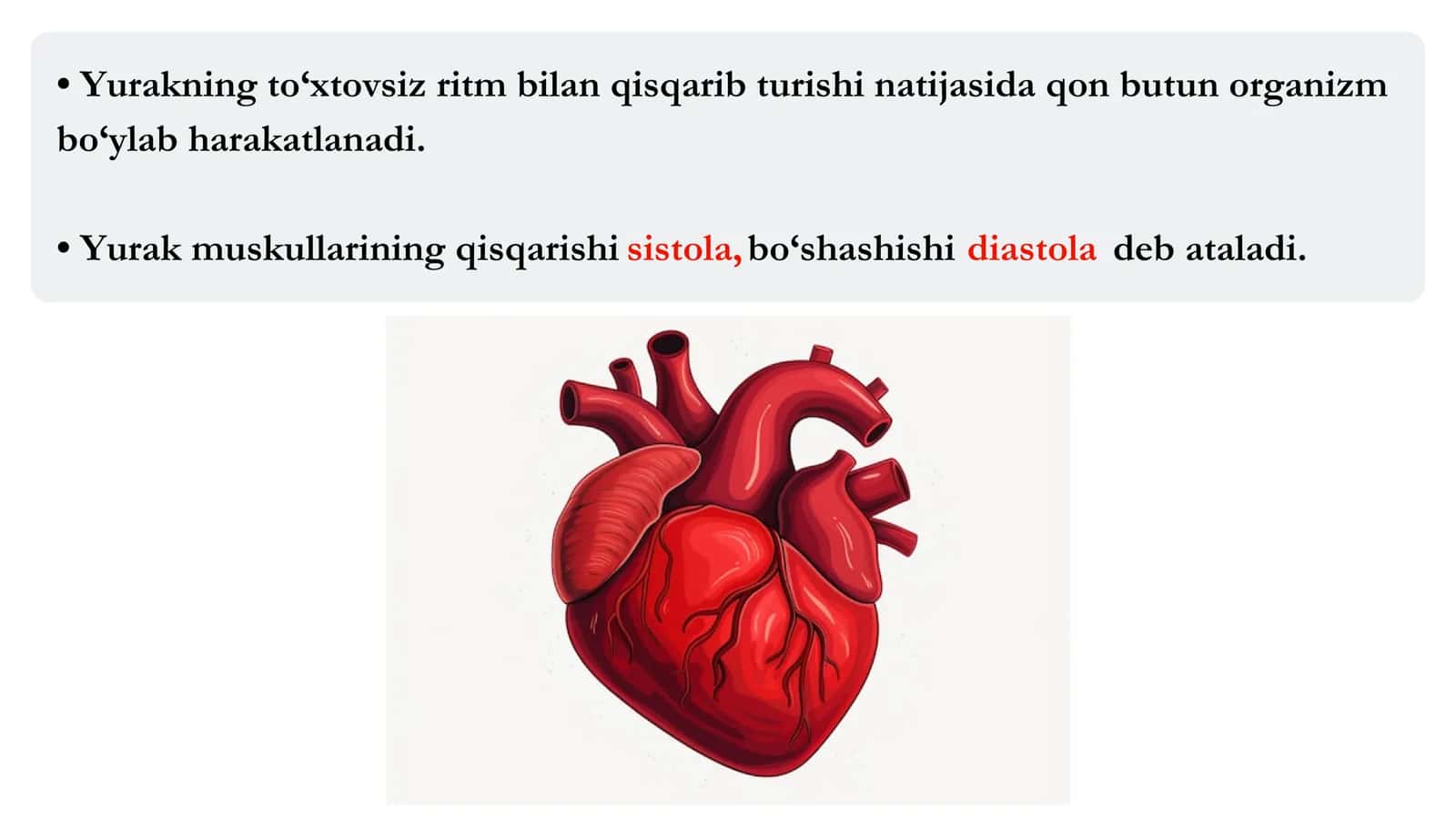 Intensiv fiziologiya 3