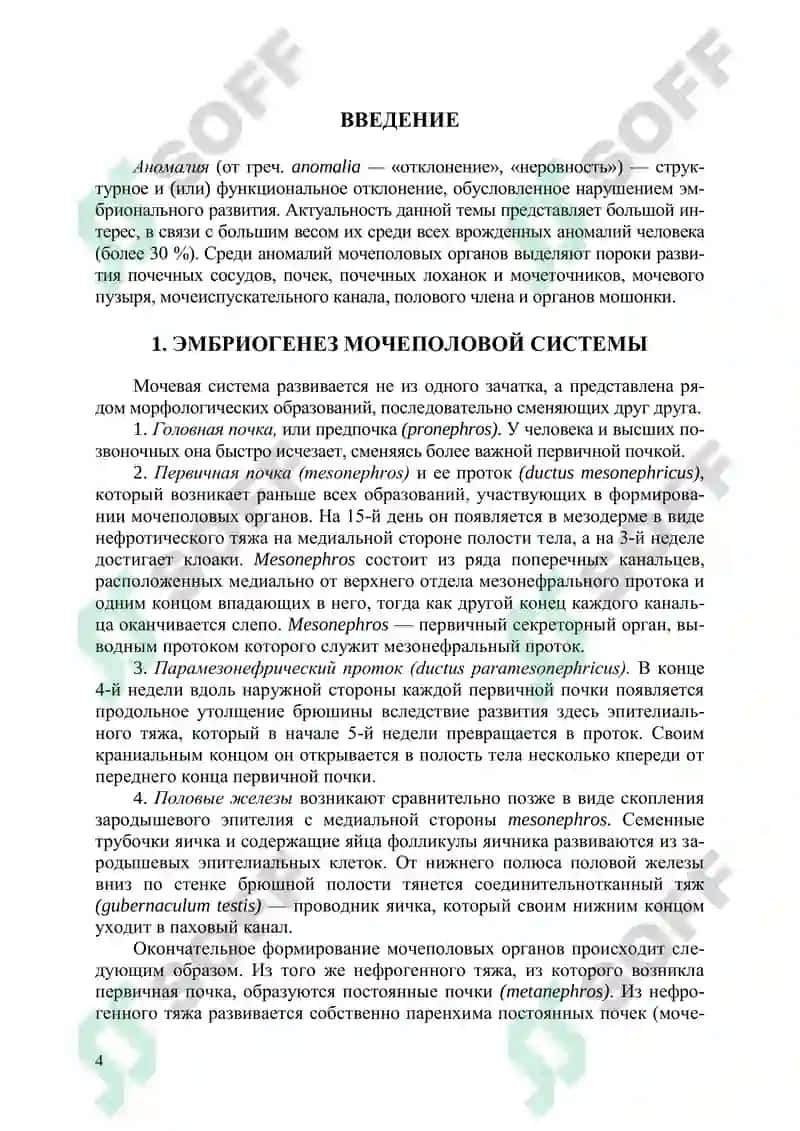 Аномалии мочеполовых органов 4