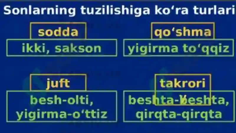 son so‘z turkumi 4