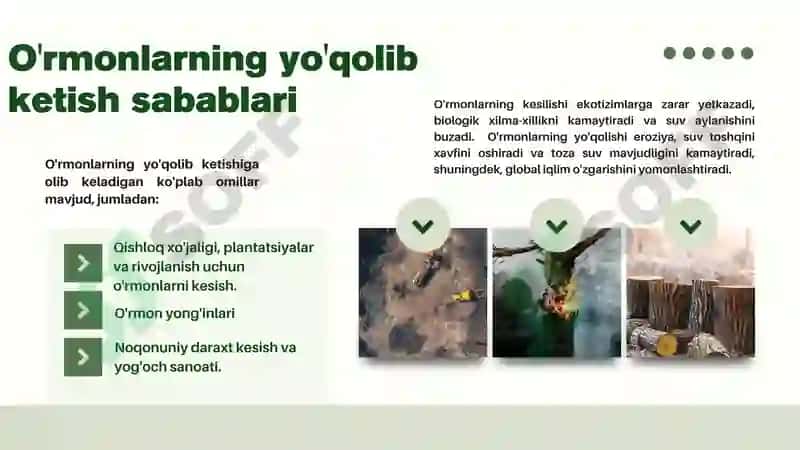 Geografiya fanidan loyiha ishi 4