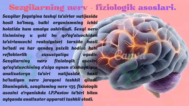 Sezgi Haqida Umumiy tushuncha 4