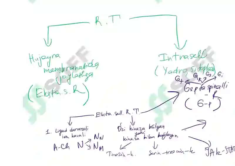 signal transduction 4
