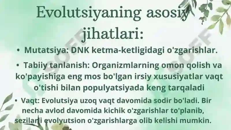 Evolutsiya nazariyasi 4