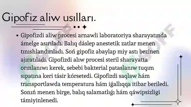 Balıqlarda Gipofiz Gormonal Iskerlik 4