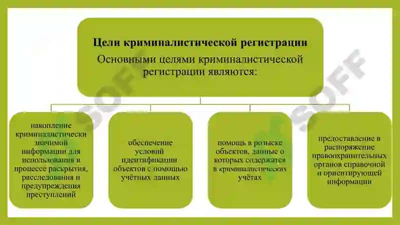 Криминалистическая Регистрация 4