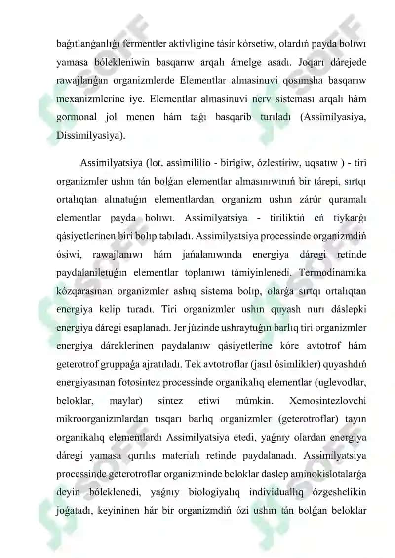 Zatlar Almasinuvi 4