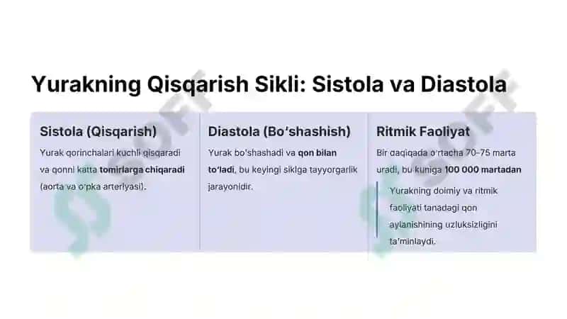 Yurak Faoliyati Boshqarishini O‘ziga Xosligi 4