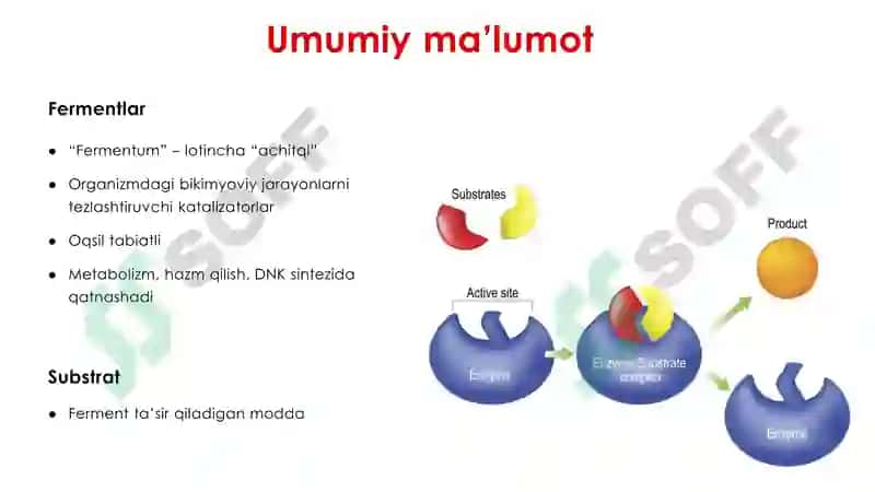 BIOKIMYO 4