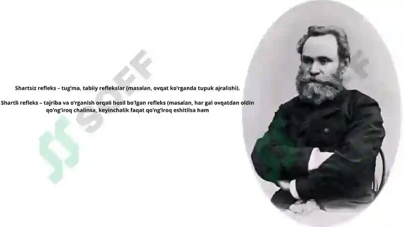Ivan Petrovich Pavlovning asosiy hissasi 4