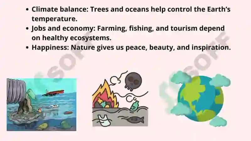 The Importance of Biodiversity Conservation 4