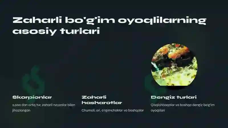 Zaxarli boʼgʼim oyoqlilar 5