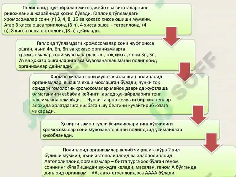 IRSIY O’ZGARUVCHANLIK 5