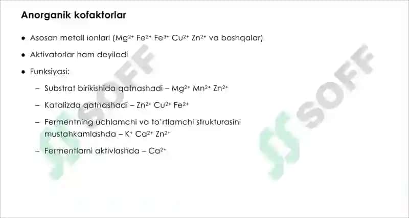 Fermentlar 5