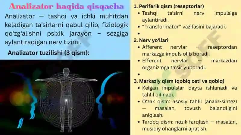 Sezgi Haqida Umumiy tushuncha 5