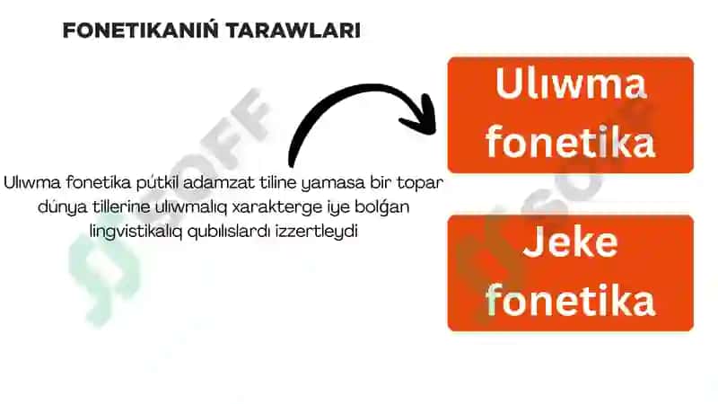 Fonetika hám fonologiya 5