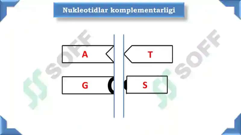 Hujayra va Gen Injineriyasi 5
