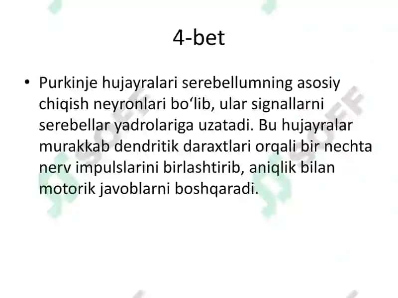 Serebellum va Miyaning Yadrolari 5