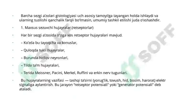 Sezgi a'zolari gistologiyasi 5
