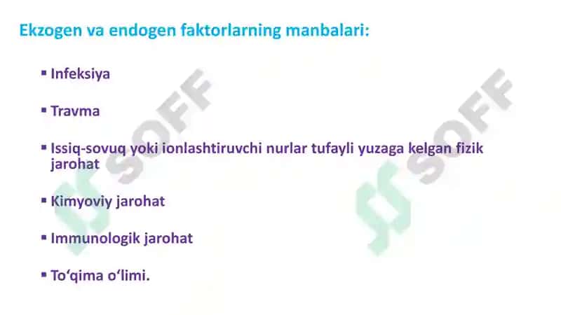 yalliglanish 6