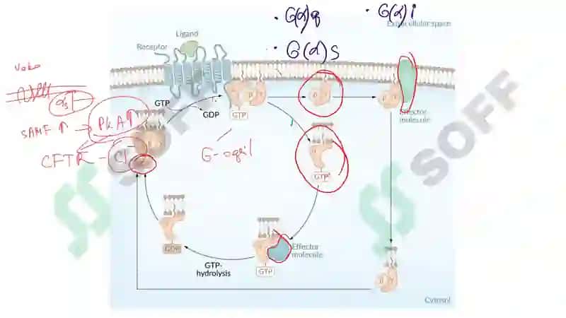 signal transduction 6
