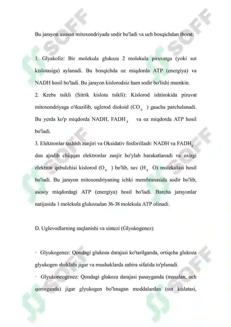 Hayvonlarda uglevodlar almashinuvining asosiy jarayonlari 6