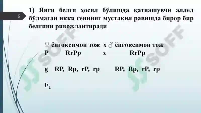 Генларнинг комплементар, эпистатик ва полимер таъсири 6