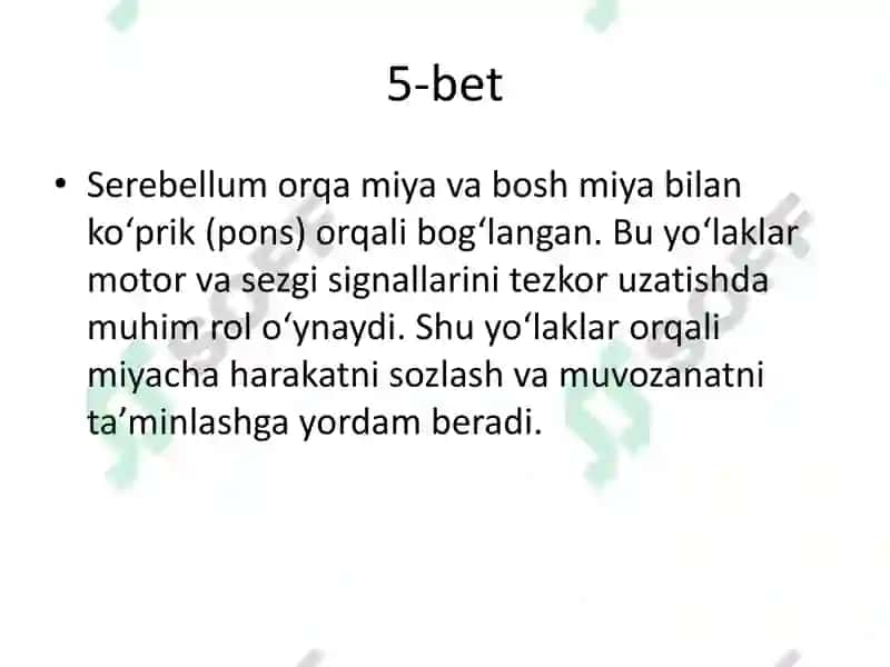 Serebellum va Miyaning Yadrolari 6