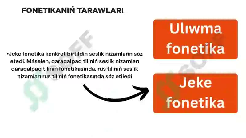Fonetika hám fonologiya 6