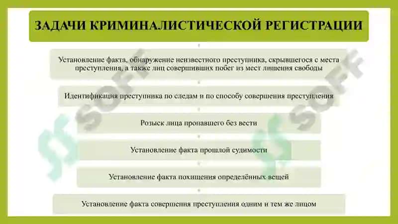 Криминалистическая Регистрация 6