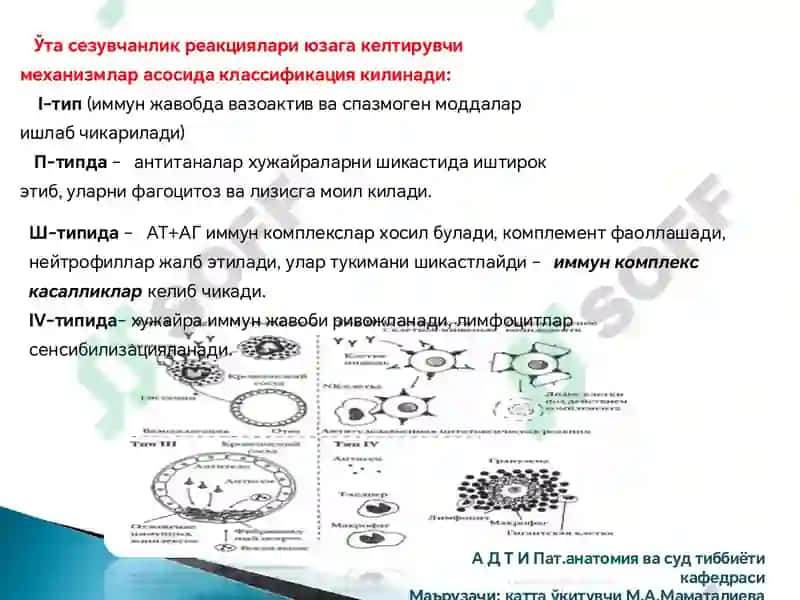 Immunopatologik jarayonlar rivojlanish mexanizmlari 7