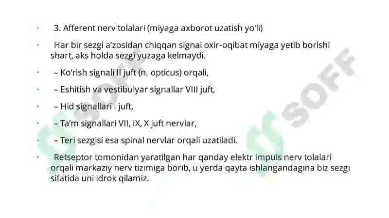 Sezgi a'zolari gistologiyasi 7