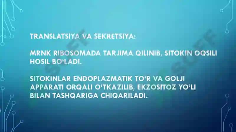Mikrobiologiya mustaqil ish 7