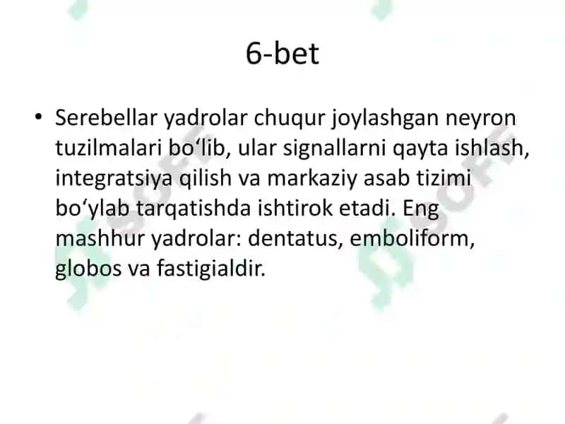 Serebellum va Miyaning Yadrolari 7