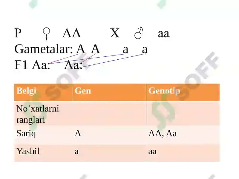 Umumiy genetika asoslari 7