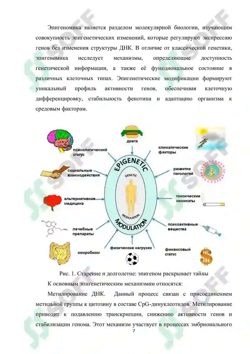 Эпигеномика 7