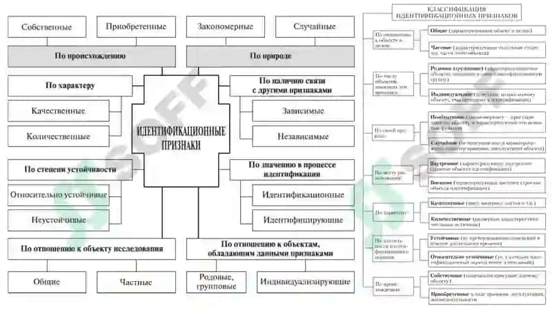 КРИМИНАЛИСТИЧЕСКАЯ ИДЕНТИФИКАЦИЯ И ДИАГНОСТИКА 7