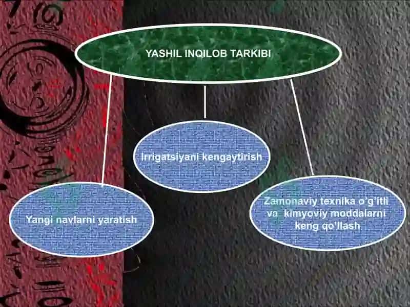 Qishloq xo'jaligi va sanoat 8