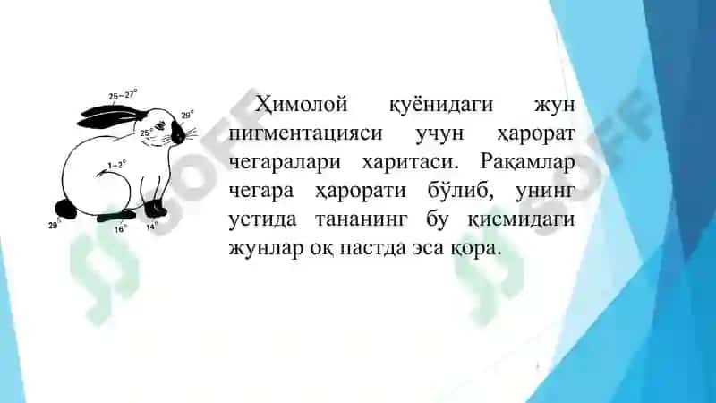 genetik materialning oʻzgaruvchanligi 8