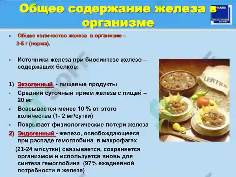 Метаболизм железа и лабораторная диагностика его нарушений 8