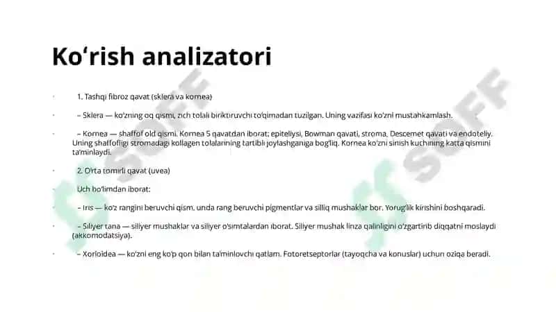 Sezgi a'zolari gistologiyasi 8