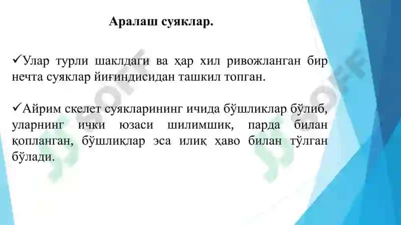 ОСТИОЛОГИЯ 8