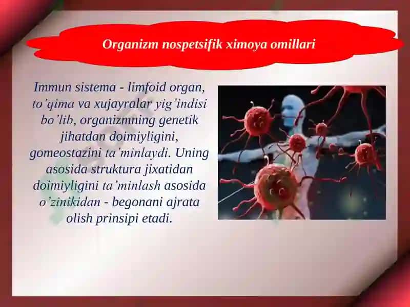Immunitet 8