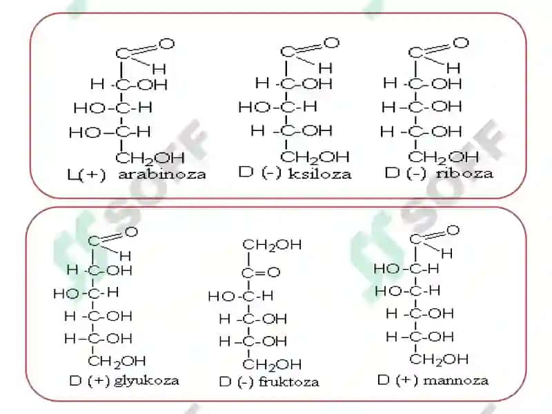 Biokimyo Karbonsuvlar 8