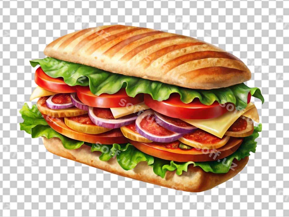 Panini sendvichi sabzavotlari | Panini sandwich vegetable 1