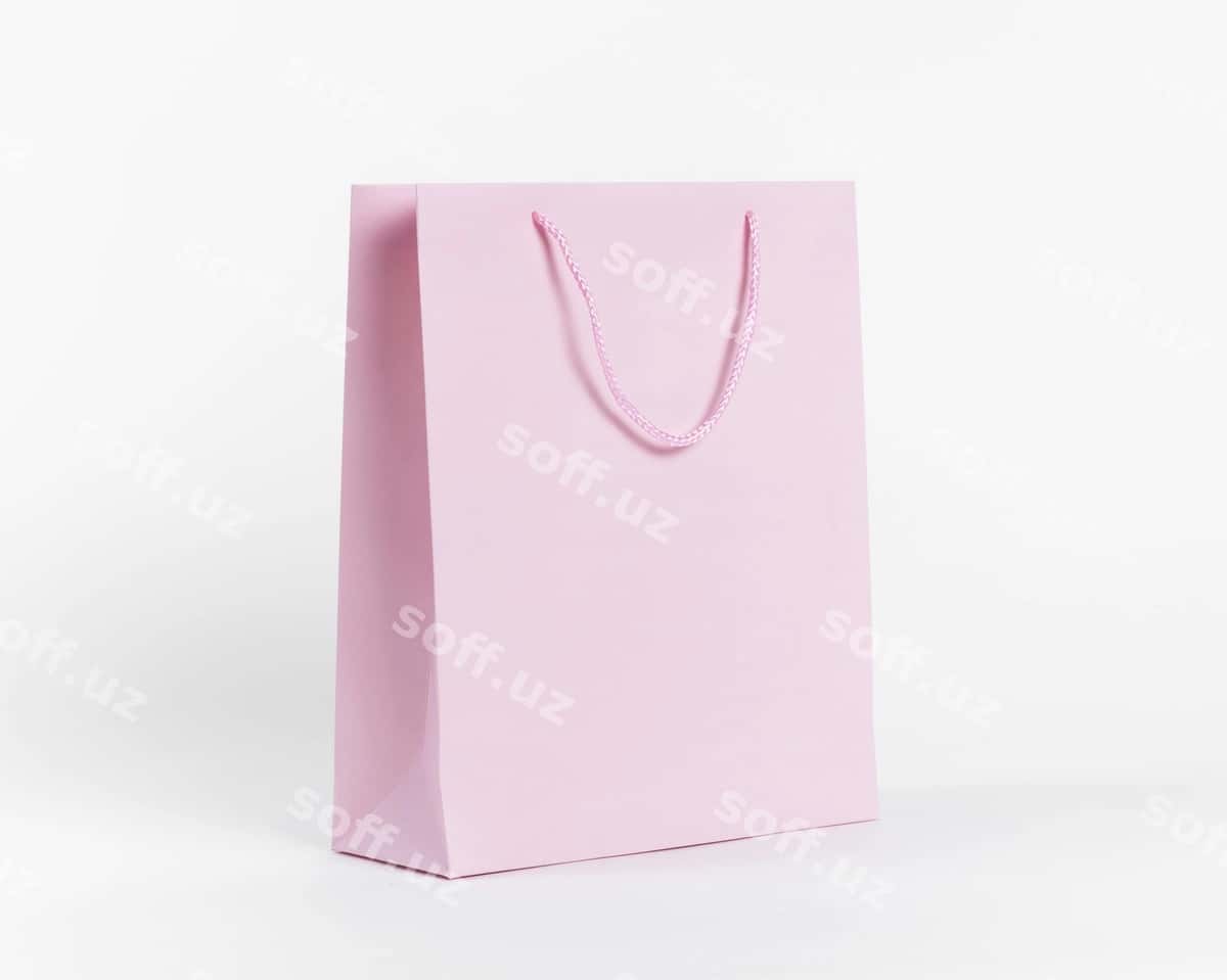 Qog'oz sumka konseptsiyasi bilan namuna | Paper bag concept with mock up 1