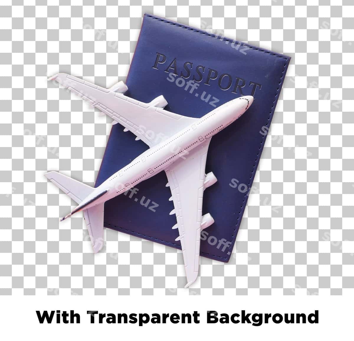 Pasport samolyoti sayohat turizmi kontseptsiyasi | Passport airplane travel tourism concept 1