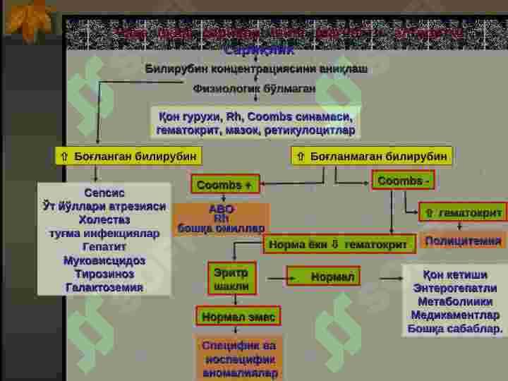 patologik sariqlik 6