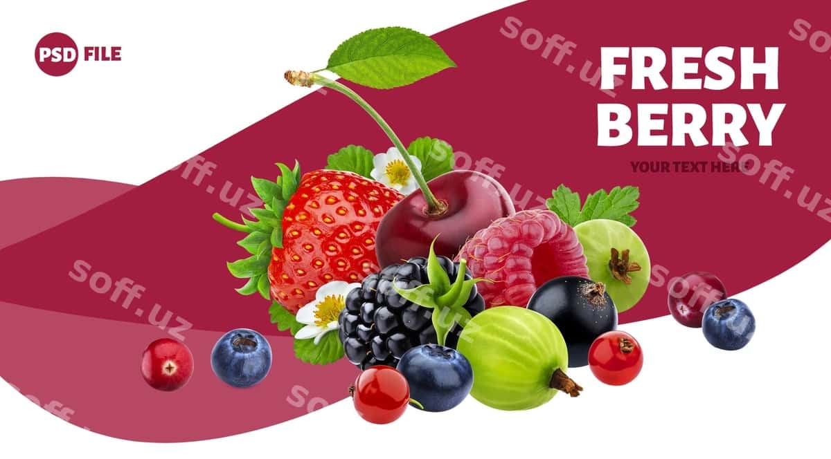 Boshqa yovar beri to'plami bayroq | Pile different wild berries banner 1