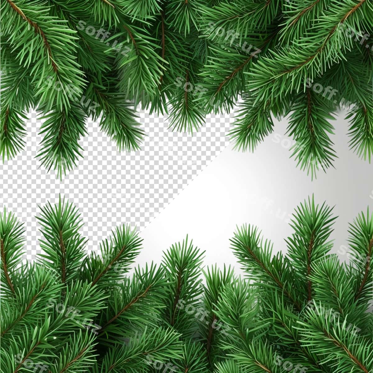 Chinar garlandi ajraltirilgan oq fon | Pine wreath isolated white background 1
