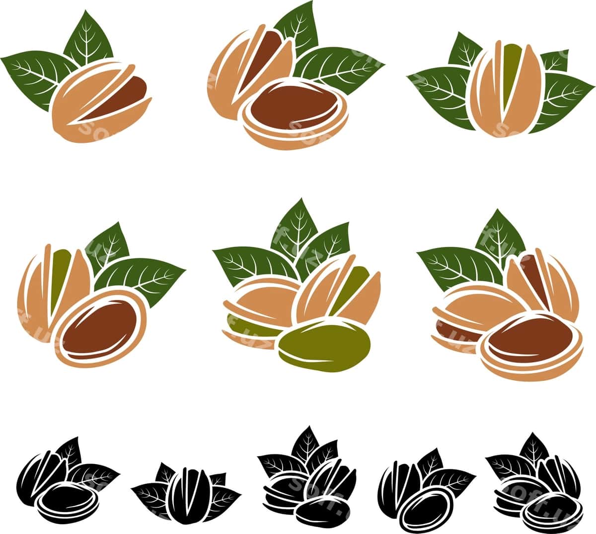Fistik urug'lari komplekt vektori | Pistachio nuts set vector 1